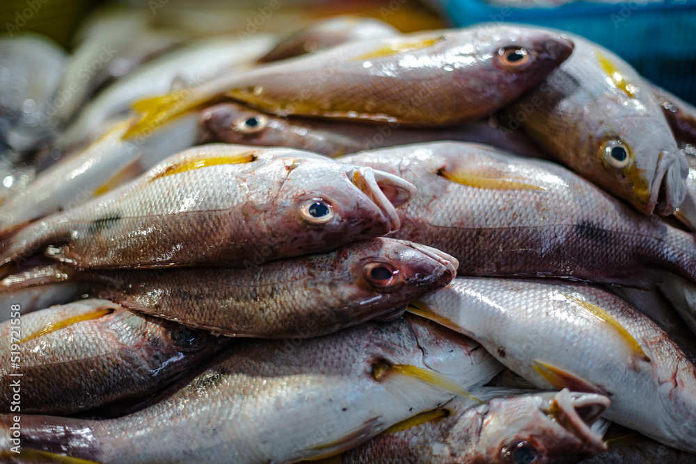 Obraz premium Fresh sea bass for sale at Amorn Nakhon Naklua Fresh Food Market, Thailand.