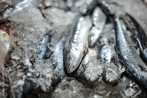 Fresh mackerel frozen in ice for sale at Amorn Nakhon Naklua Fresh Food Market, Thailand photo