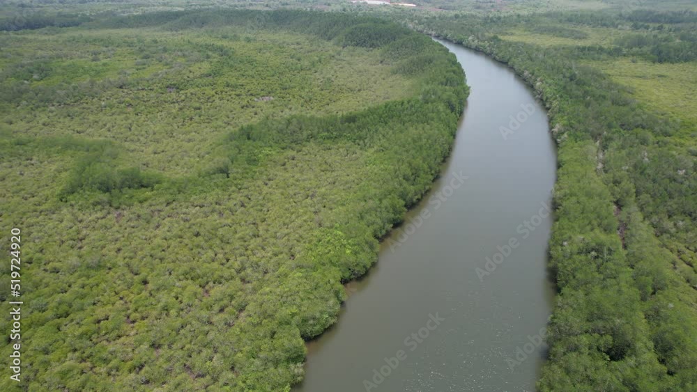 Bird eye view of the mangrove forest from drone,Chanthaburi of thailand Bird eye view of the mangrove forest from drone,Chanthaburi of thailand