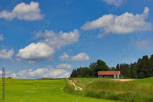 Fototapeta Naklejka Na Ścianę i Meble -  Mazury Poland
