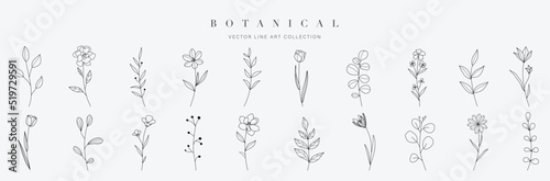 Spring floral in watercolor vector background. Flower line art wallpaper design with flowers, foliage, plant, tree, wildflowers. Abstract botanical illustration suitable for fabric, prints, cover.