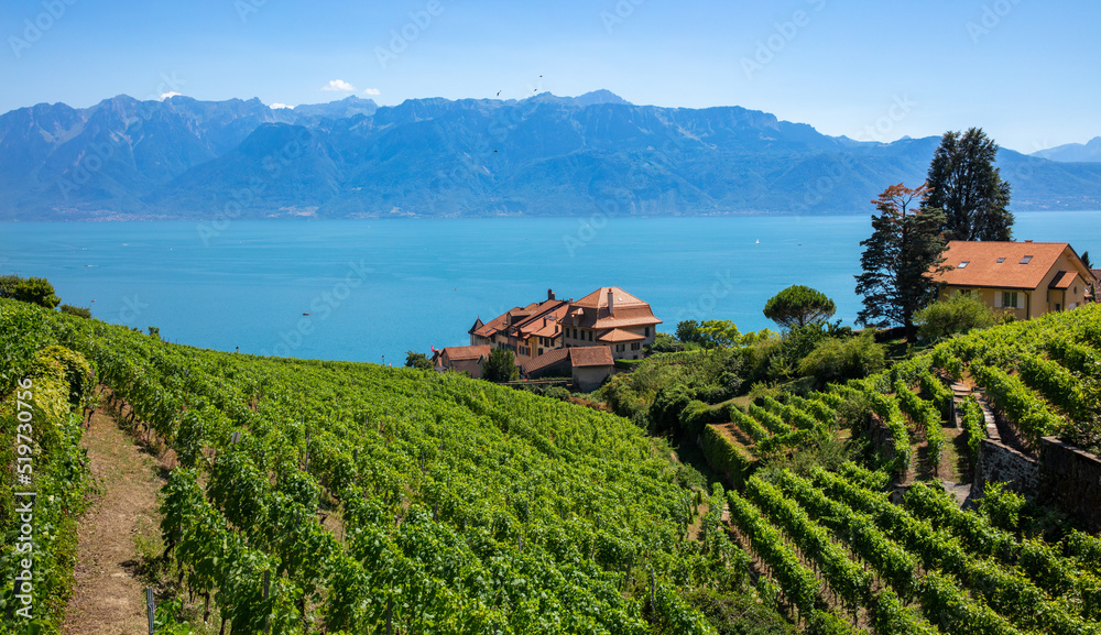 Fototapeta premium Geneva lake and alps mountain- Lavaux region in Switzerland (Leman lake)