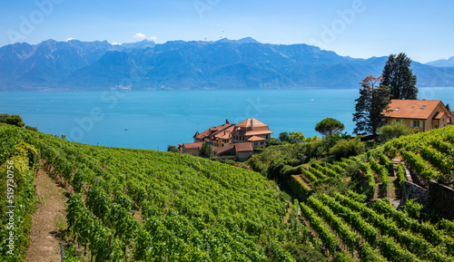 Geneva lake and alps mountain- Lavaux region in Switzerland (Leman lake)