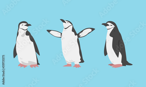 Chinstrap Penguin as Aquatic Flightless Bird with Flippers for Swimming Vector Set