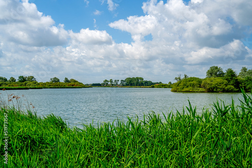 Pool in a nature reserve in West Flanders, Belgium
