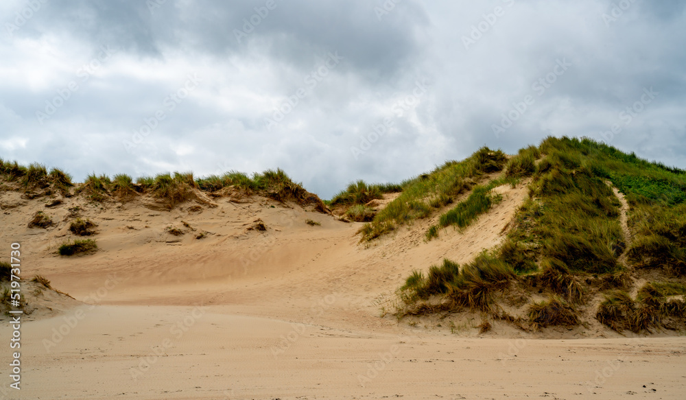 Dune on the coast of North sea in Belgium
Dune on the coast of North sea in Belgium
