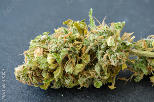 Close up of Cannabis female flower over slate. Marijuana plant. photo