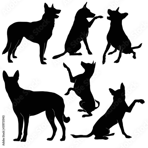 Photo dog movements vector shihouette collection