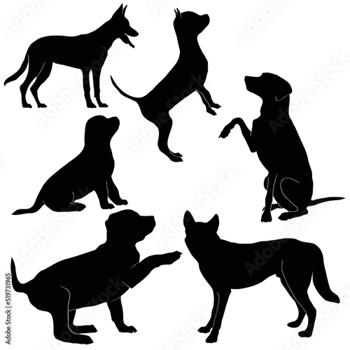 Foto dog movements vector shihouette collection
