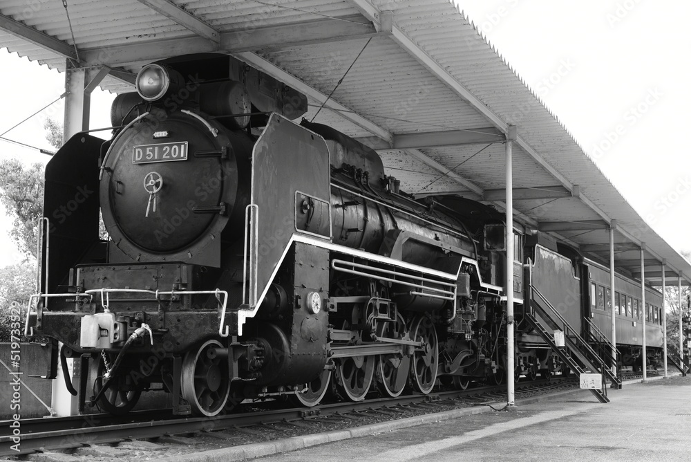 Obraz na płótnie 昭和時代に活躍したD51形蒸気機関車 w salonie