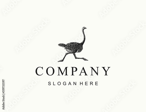Handdrawn vintage ostrich logo design