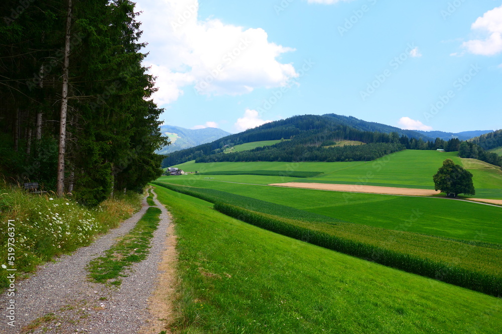 Fototapeta premium Landschaft im Murtal