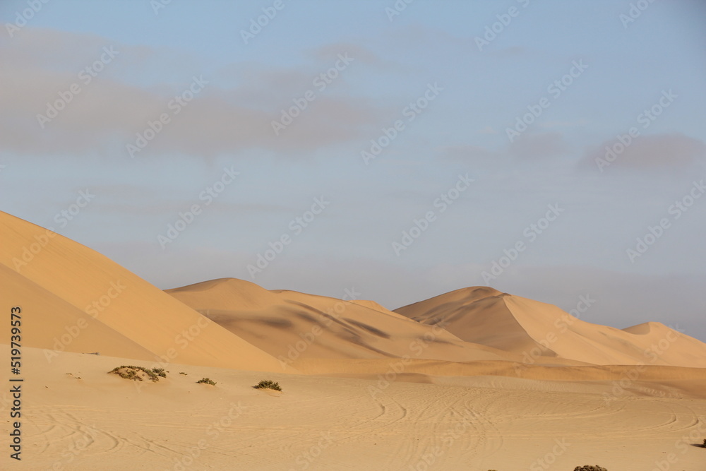 Sand dunes in the Namib Desert, Namibia, Southern Africa.