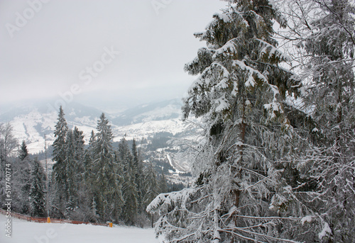 Snowy Сarpathian mountains in Ukraine photo