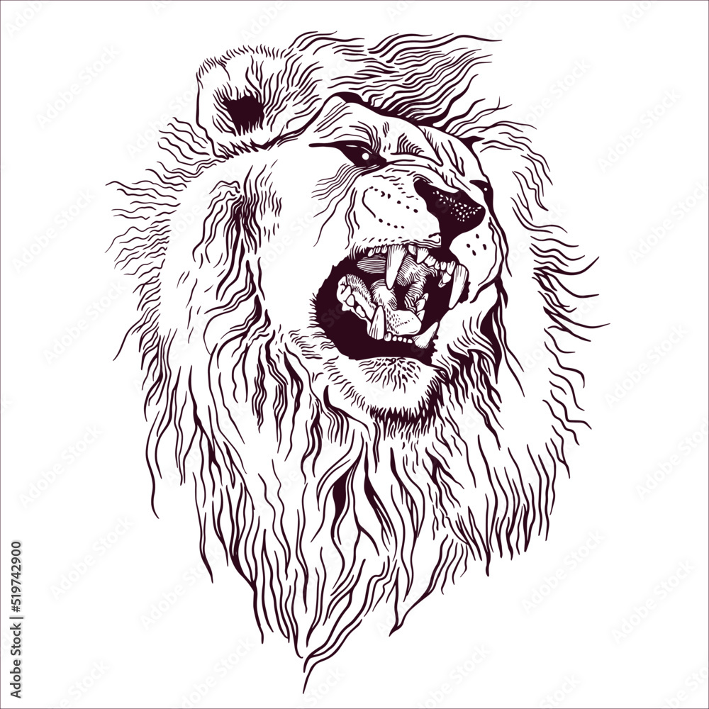 The Roaring Lion Drawing by Kuldeep Singh | Saatchi Art