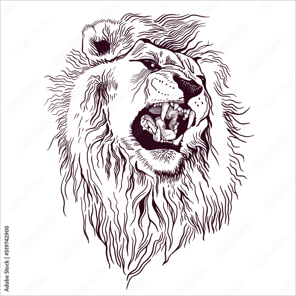 Pencil drawing of the head of a roaring lion in a minimalist style