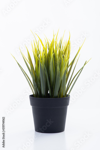 Artificial green grass in plastic pot isolated on white background