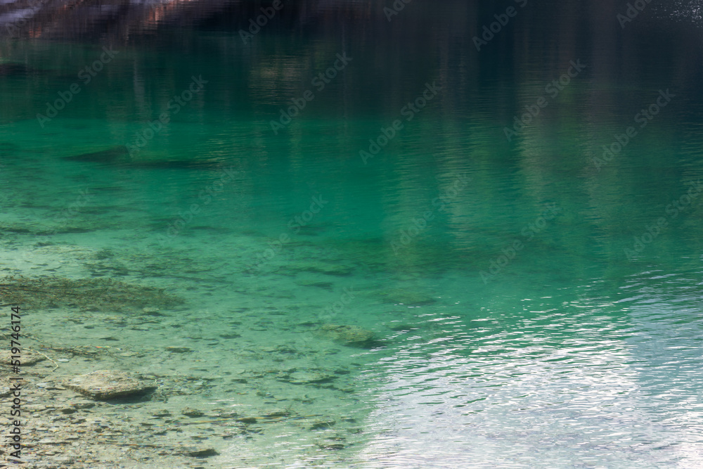 Transparent emerald mineralized shallow water near the shore on Tovel lake, Ville d'Anaunia, Trentino, Italy