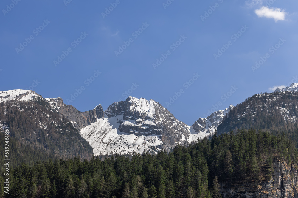 Brenta Dolomites snowy and forested peaks under blue sky, Ville d'Anaunia, Trentino, Italy