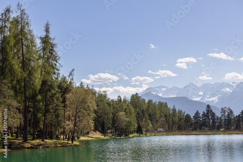 Mixed deciduous-coniferous forest on the shore of Lago di Coredo against the backdrop of alpine peaks with ice and snow, Trentino, Italy