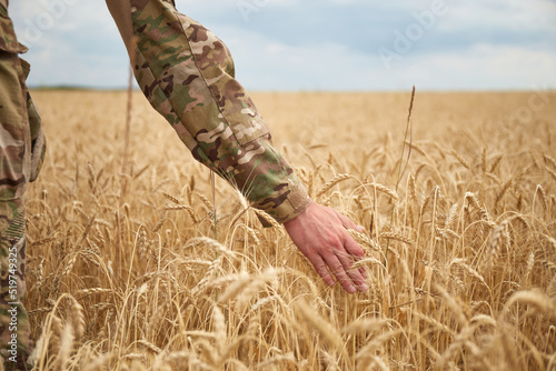 Cuadro en lienzo Ukrainian military man in wheat field