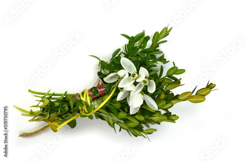 Beautiful snowdrops bouquet on white background