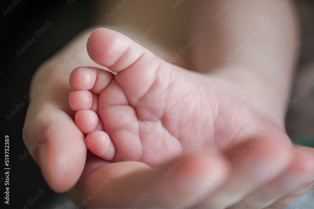 Close-up detail of parent holding cute and soft baby small leg in his hands. Macro abstract view of sweet baby foot fingers. Soft child skin feet. Love and family emotion Close-up detail of parent holding cute and soft baby small leg in his hands. Macro abstract view of sweet baby foot fingers. Soft child skin feet. Love and family emotion
