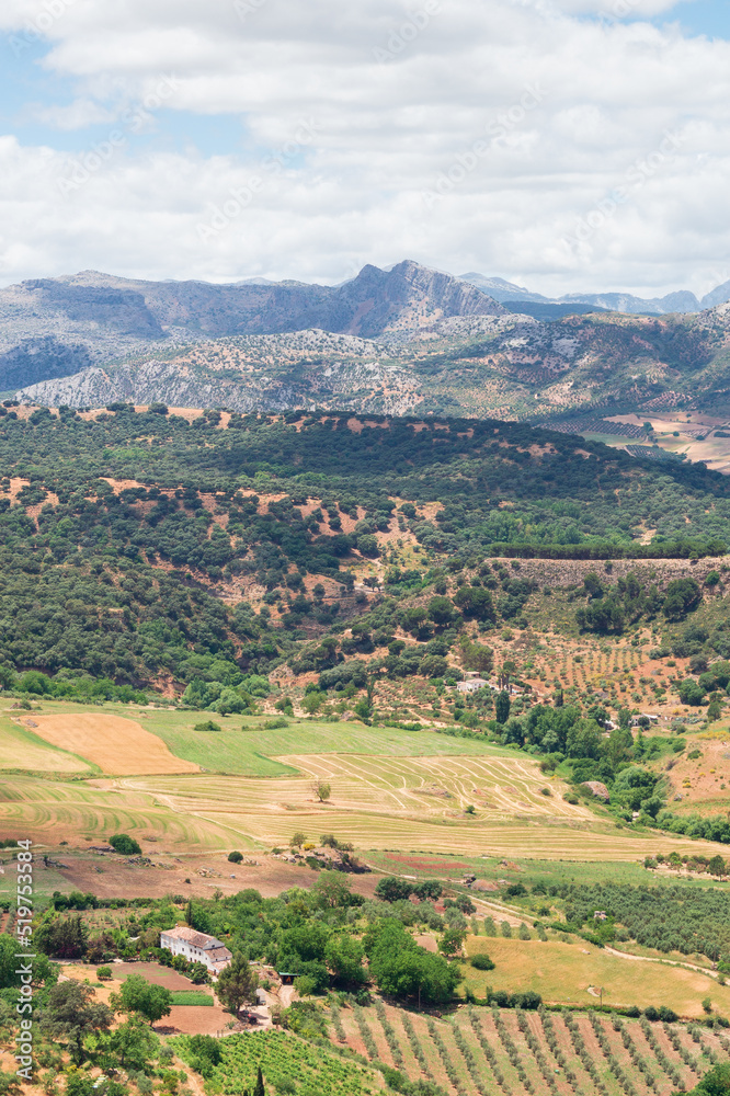 Views of the Ronda mountain range (Spain). Views of pastures and crops with the Sierra de Grazalema in the background. Rural landscape of a vast cultivated plain surrounded by high mountains.