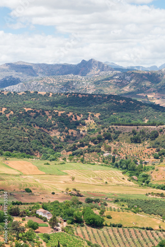 Views of the Ronda mountain range  Spain . Views of pastures and crops with the Sierra de Grazalema in the background. Rural landscape of a vast cultivated plain surrounded by high mountains.