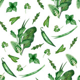 Seamless pattern of watercolor elements on a white background. Fragrant herbs, parsley, basil, arugula hand-painted in watercolor.