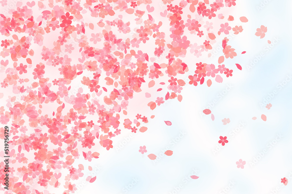 falling cherry blossoms