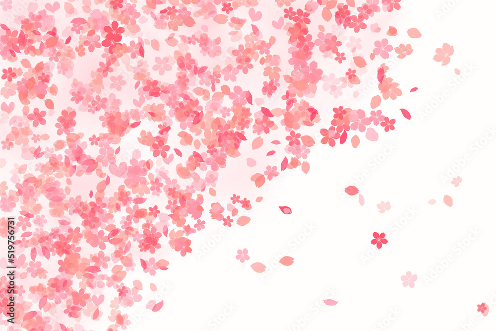 舞い散る桜　イラスト