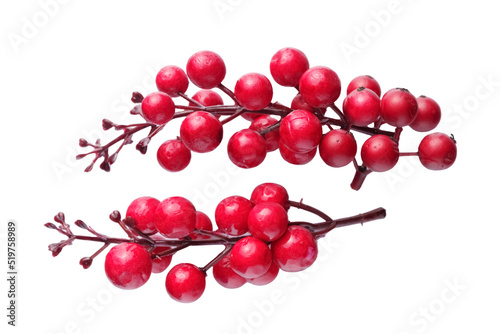 Christmas red berries isolated on white background, Christmas traditional decor