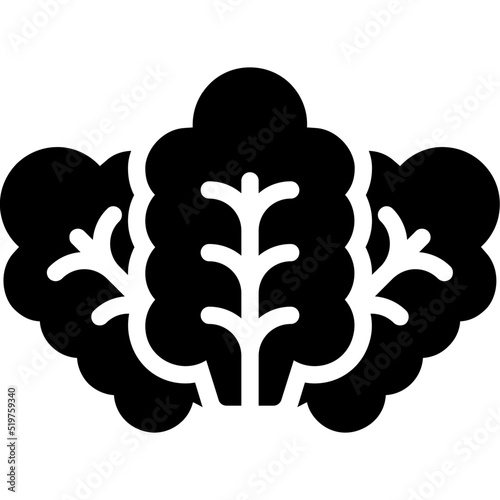 Lettuce Icon