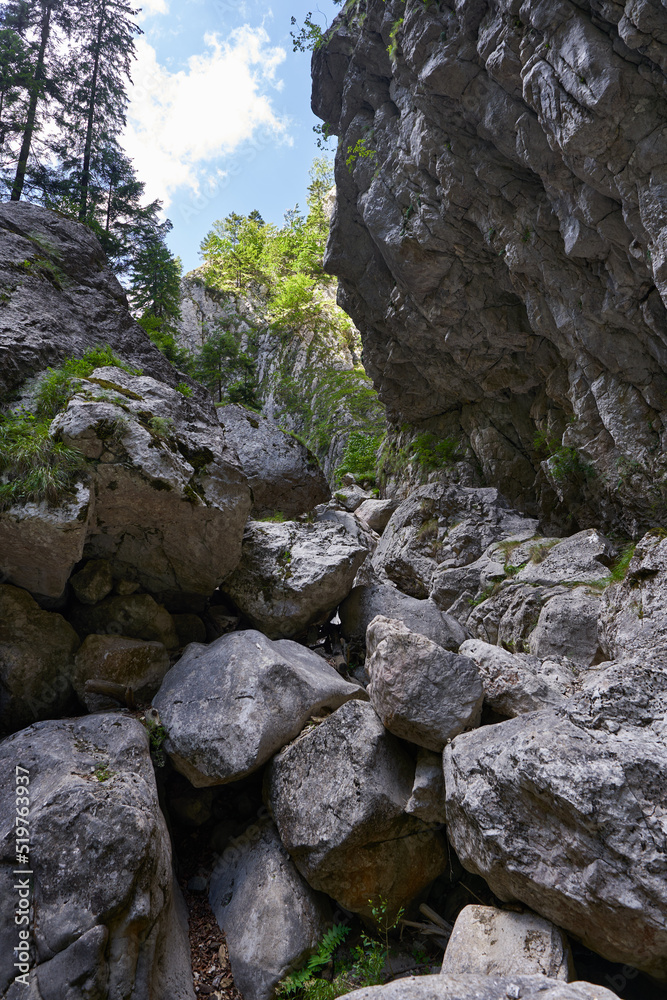 Canyon with huge boulders Canyon with huge boulders