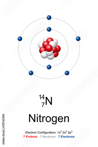 Nitrogen, atom model. Chemical element with symbol N and with atomic number 7. Bohr model of nitrogen-14, with an atomic nucleus of 7 protons and 7 neutrons, and with 7 electrons in the atomic shell.