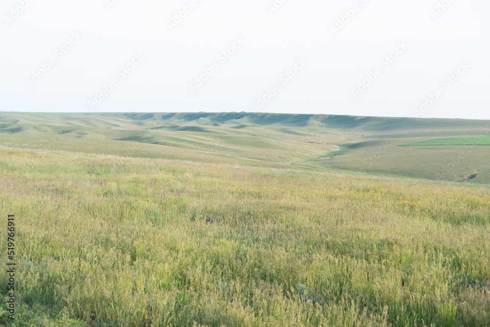 Landscape view of steppe Russian Federation
