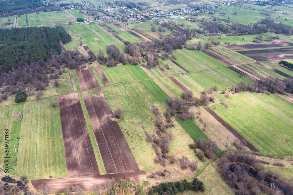 Fields near Starowola, small village on Mazowsze region of Poland