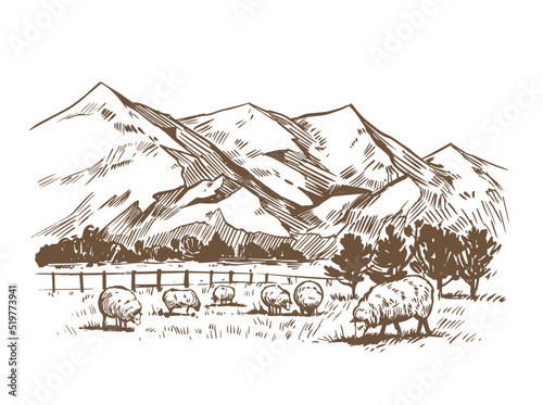 Rural landscape with sheep on field and mountain. Hand drawn vector illustration