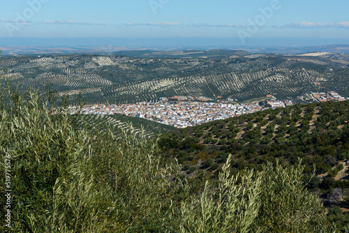town in the countryside of andalucia, surrounded by olive trees, extra virgin olive oil tree
