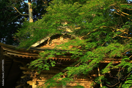 世界遺産 岩手県平泉町 夏の中尊寺