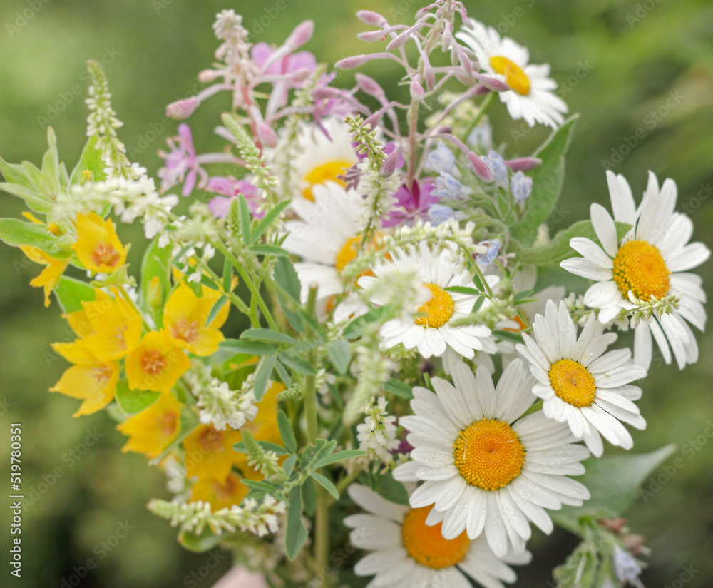 Fototapeta premium Pretty summer bouquet with camomiles