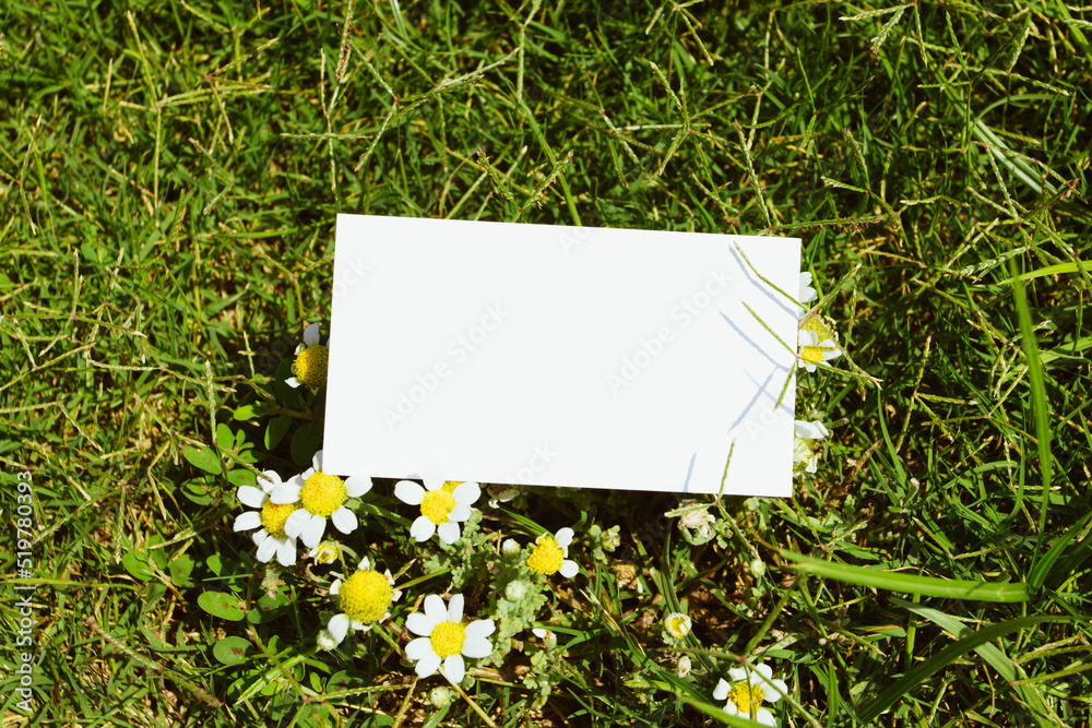 Flat card on tropical flowers outside for web background design. White isolated background. Abstract landscape background. Happy holiday. Web banner template. Natural beauty. Flat card on tropical flowers outside for web background design. White isolated background. Abstract landscape background. Happy holiday. Web banner template. Natural beauty.
