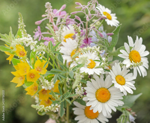 Pretty summer bouquet with camomiles