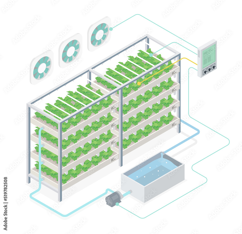 plant factory system herb plant and vegetable plant diagram closed