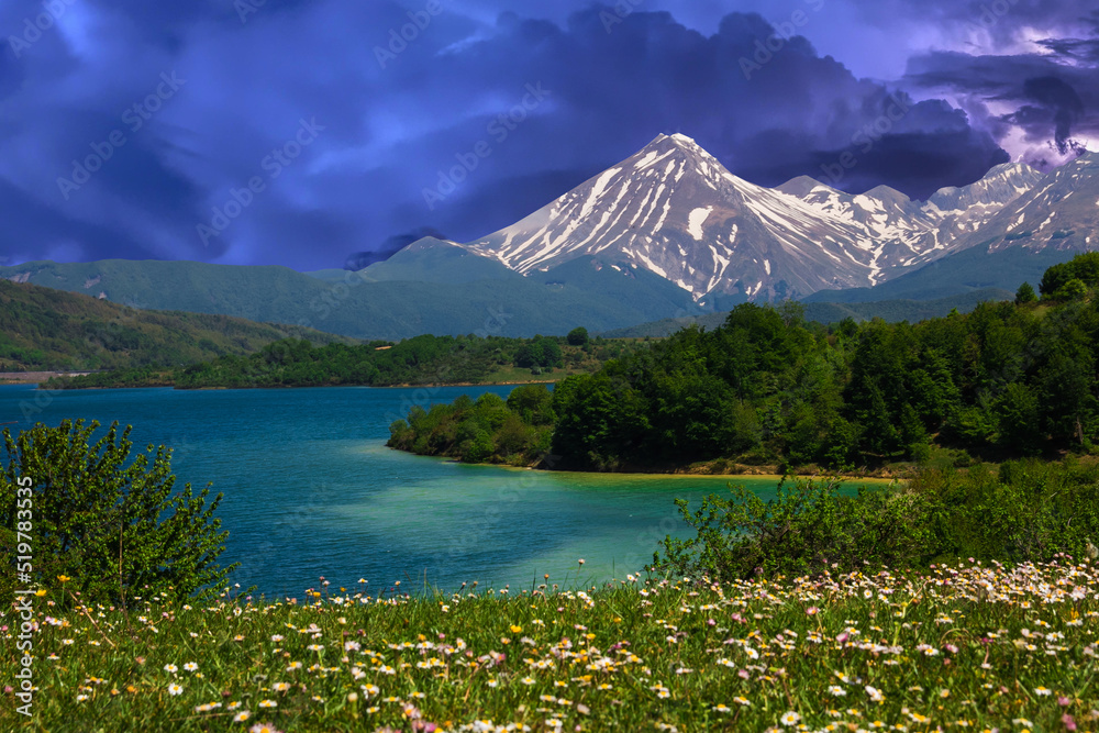 Obraz premium Panoramic view of Campotosto lake with wild flowers during spring storm in Abruzzo Italy