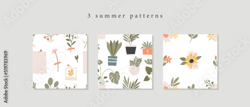 3 Summer flower seamless pattern set. Cute and tender floral pattern collection with spring field flowers, home plants, memory moodboard in cartoon rustic style. Texture for wallpaper