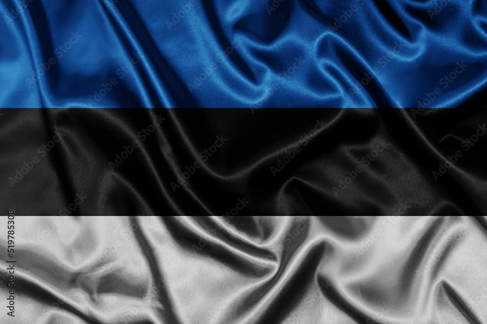 Flag of Estonia silk background. Flag of Estonia silk background.