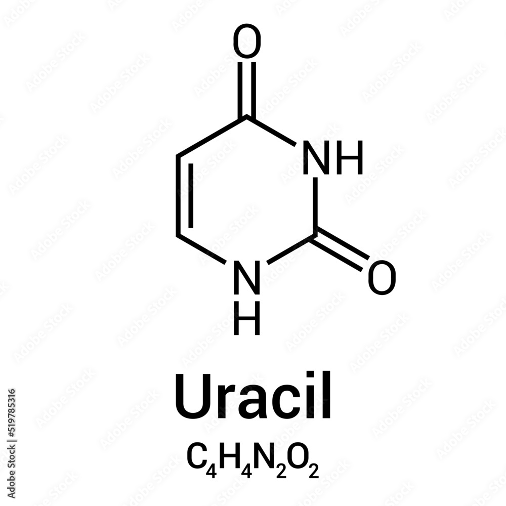 chemical structure of uracil (C4H4N2O2)