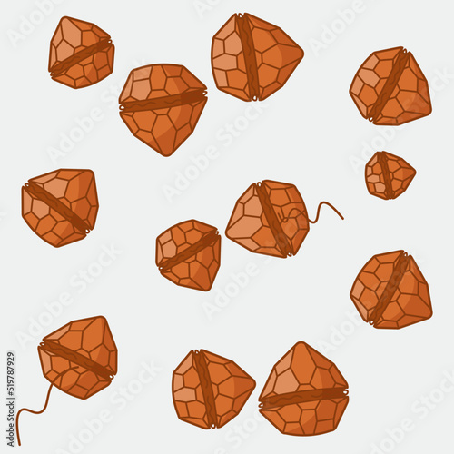 Peridinium is a genus of motile, marine and freshwater dinoflagellates.   It can range from 30 to 70 μm in diameter, and has very thick thecal plates.